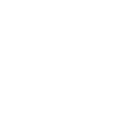 Lock Logo