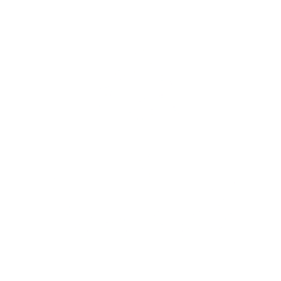 Step Icon